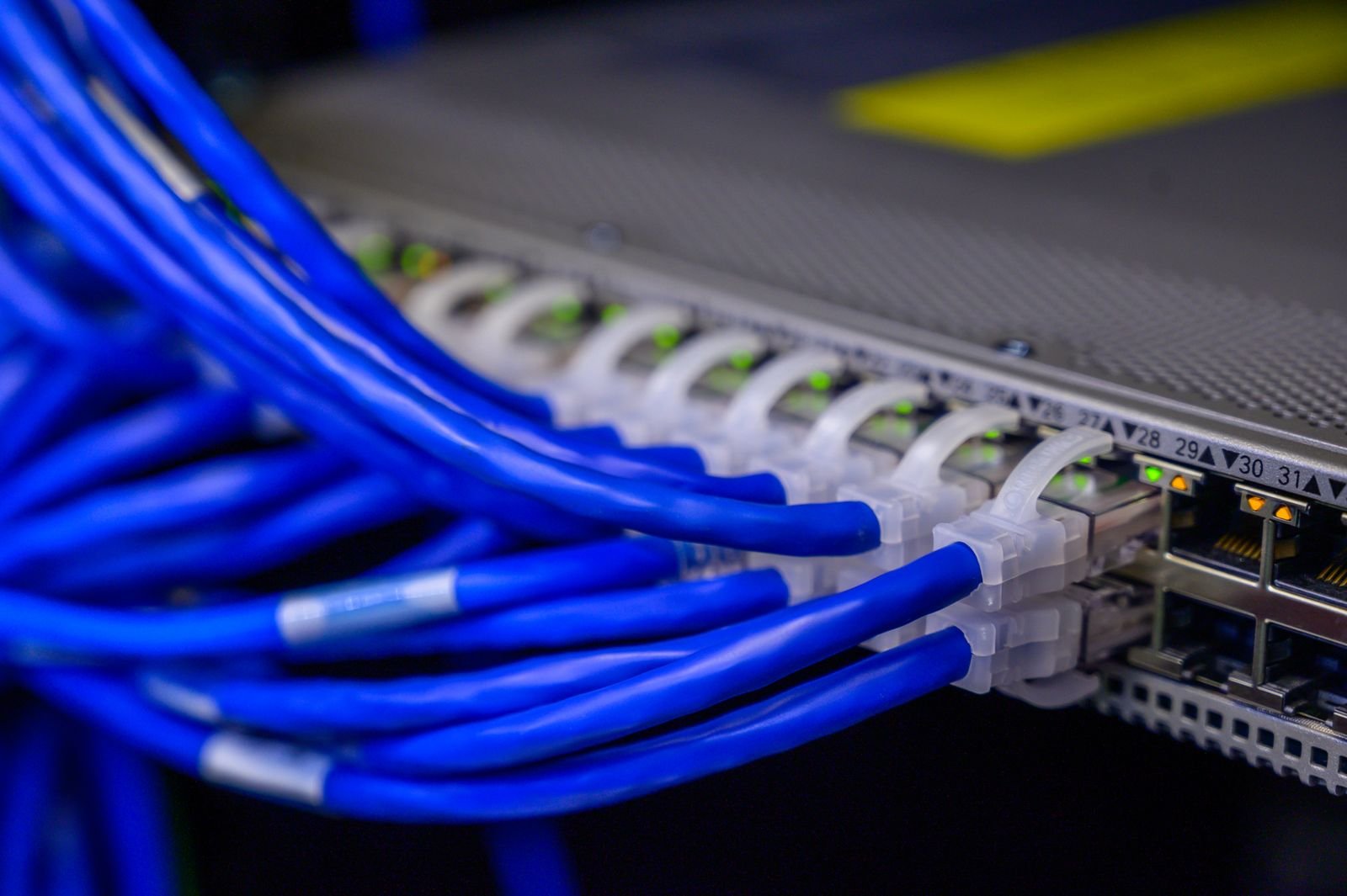 Ethernet cables plugged into a network switch in a data center.
